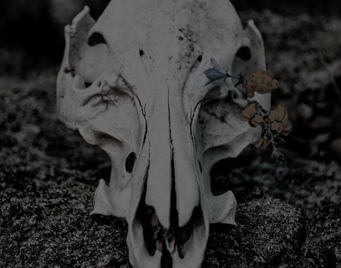 fours tenebrous runic tarot